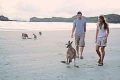 Aussie Adventure