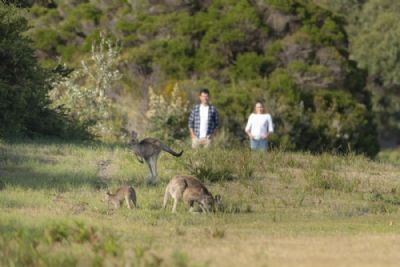 Australia Uncovered