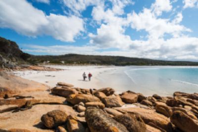 Tantalizing Tasmania