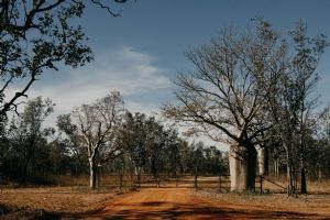 Bullo River Station