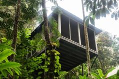 Daintree Ecolodge