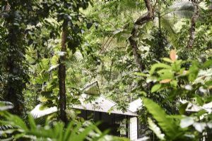 Daintree Ecolodge