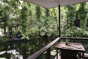 Daintree Ecolodge