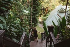 Daintree Ecolodge