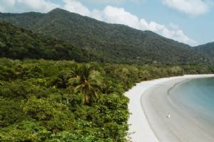 Daintree Ecolodge