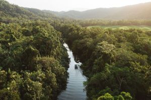 Daintree Ecolodge