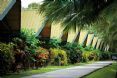 Hamilton Island Palm Bungalow