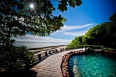 Heron Island Resort