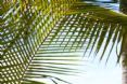 Kewarra Beach Resort & Spa