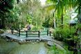 Kewarra Beach Resort & Spa