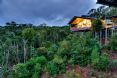 O'Reilly's Rainforest Retreat and Mountain Villas