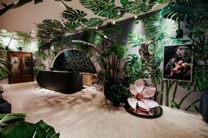 Ovolo The Valley