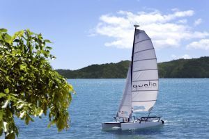 qualia, Great Barrier Reef