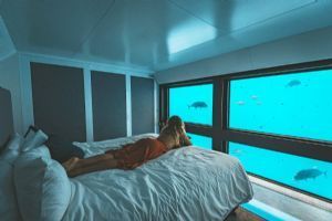 Reefsuites