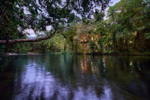 Silky Oaks Lodge