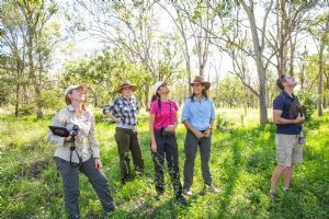 Spicers Peak Lodge