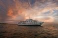 True North Adventure Cruises