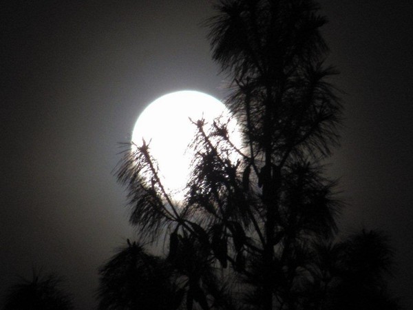 Moon over Amankora