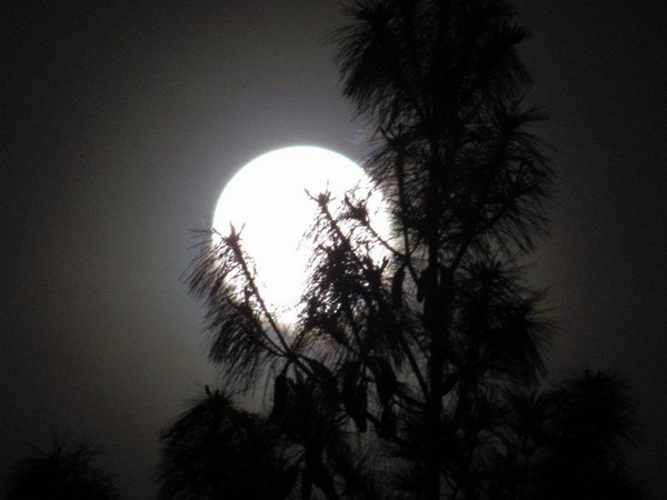 Moon over Amankora Moon over Amankora