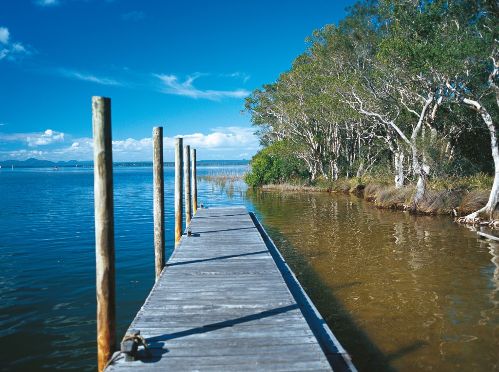 Mangrove Boardwalk Circuit, Lake Cootharaba, Kinaba Photo Credit: Tourism Queenstown