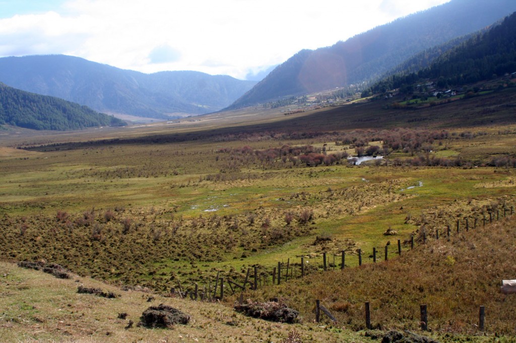Phobjikha, Black-necked Crane habitat, Bhutan | Photo Credit: L Shyamal/Wikimedia Phobjikha, Black-necked Crane habitat, Bhutan | Photo Credit: L Shyamal/Wikimedia