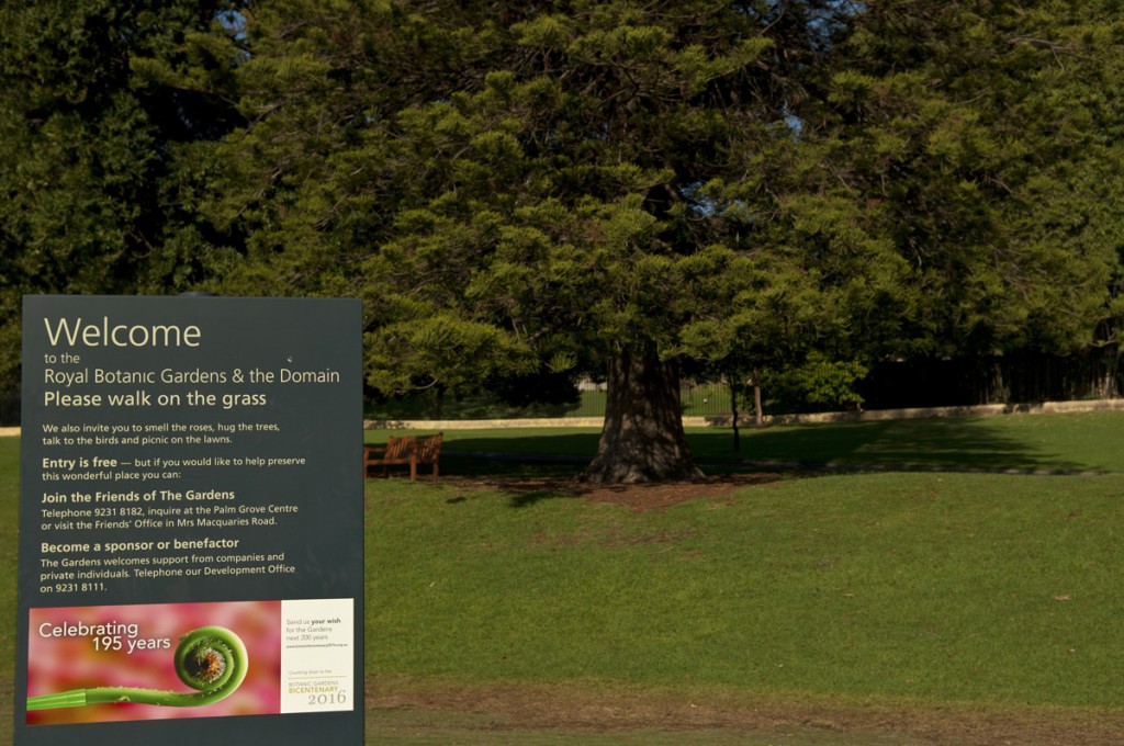 Sydney Royal Botanic Gardens | Photo Credit: Mark Sherborne; Destination NSW