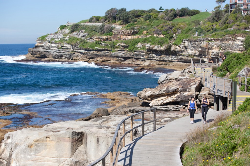 Bondi coastal walk | Photo Credit: James Horan; Destination NSW