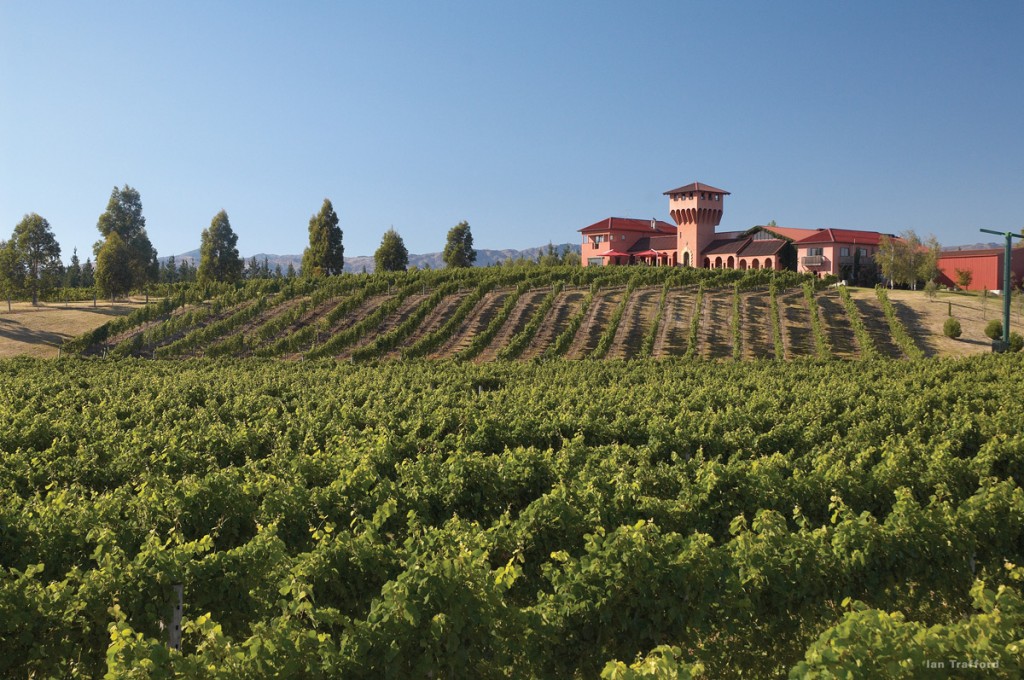 Marlborough Winery | Photo Credit: Tourism New Zealand Marlborough Winery | Photo Credit: Tourism New Zealand