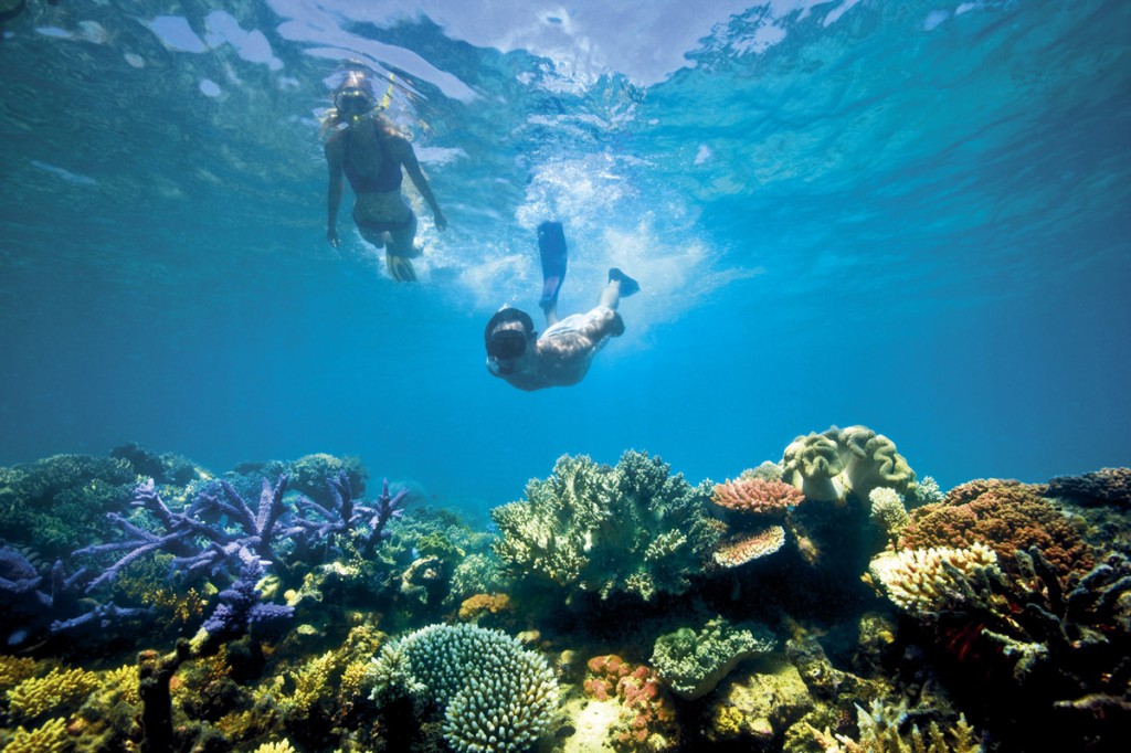 Diving off of Lizard Island | Photo Credit: Lizard Island Diving off of Lizard Island | Photo Credit: Lizard Island