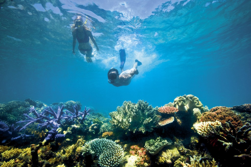 Diving off of Lizard Island | Photo  Credit: Lizard Island