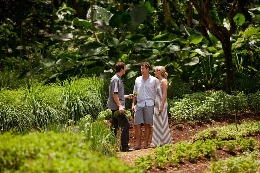 Herb Garden | Photo Credit: Laucala Herb Garden | Photo Credit: Laucala