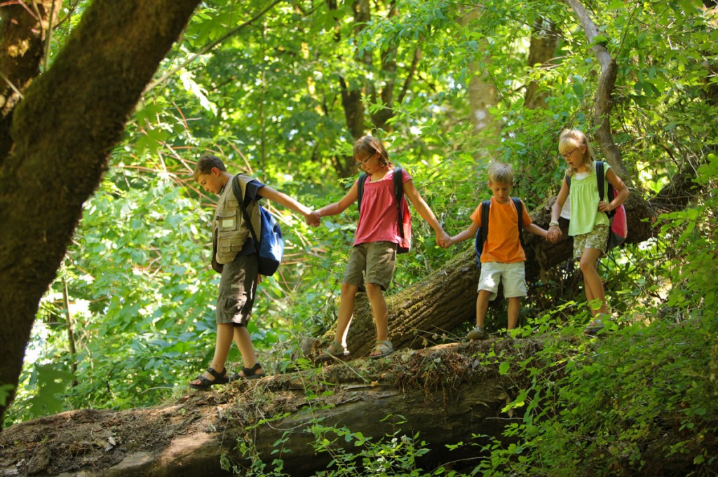 Hiking | Photo Credit: Treetops Lodge & Estate Hiking | Photo Credit: Treetops Lodge & Estate