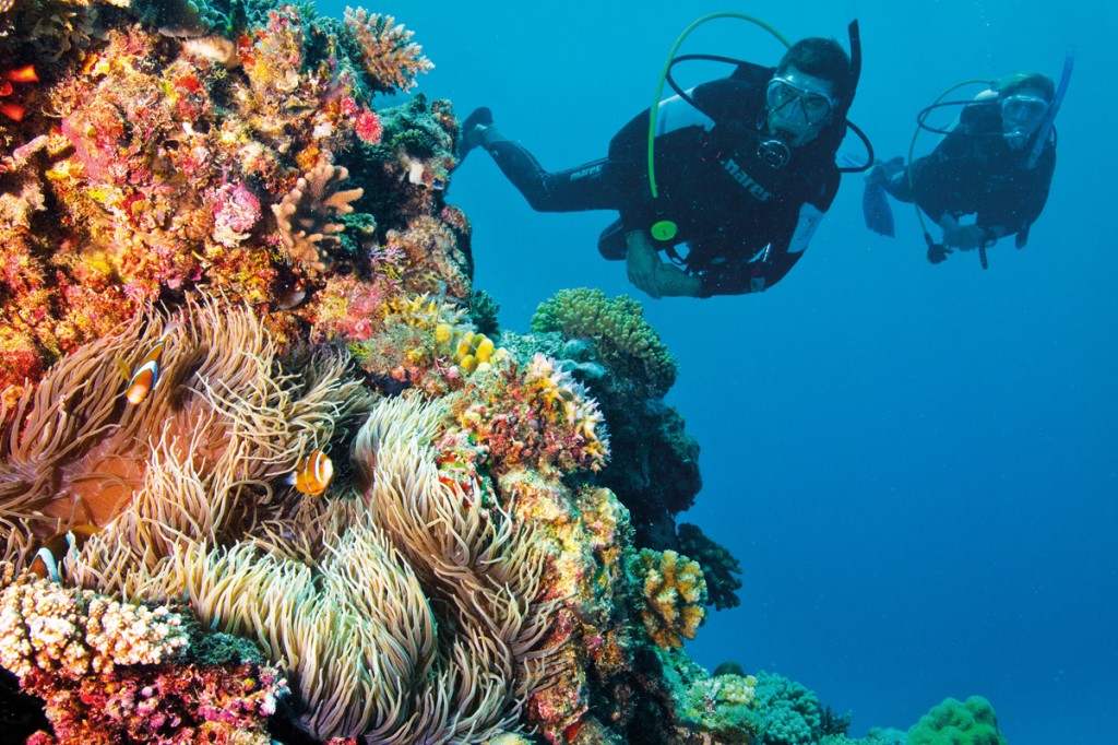 Great Barrier Reef | Photo Credit: Tourism and Events Queensland Great Barrier Reef | Photo Credit: Tourism and Events Queensland