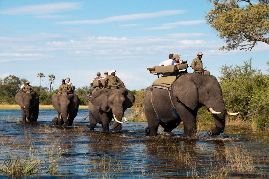 Elephant Back Safari | Photo Credit: Abu Camp