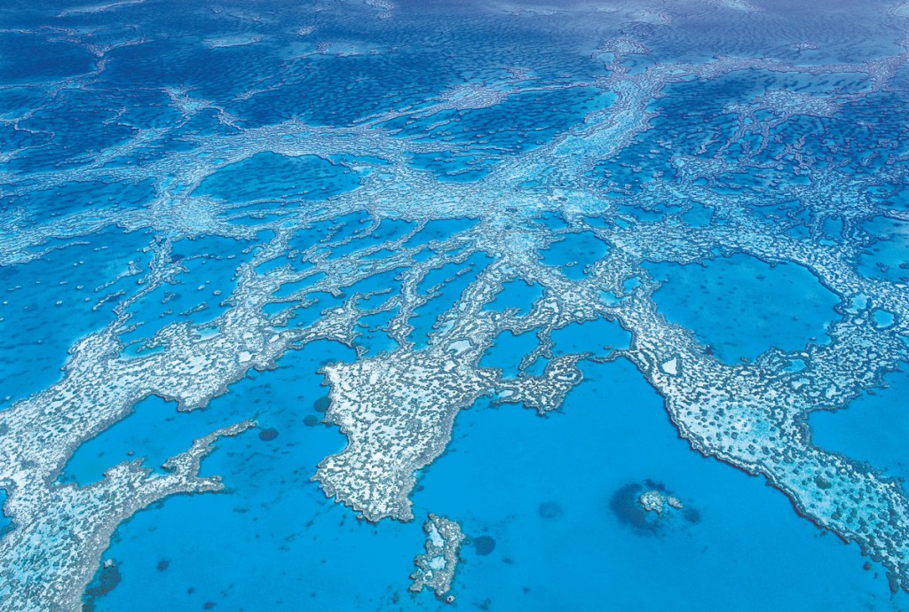 Aerial View of Hardy Reef | Photo Credit: Tourism and Events Queensland