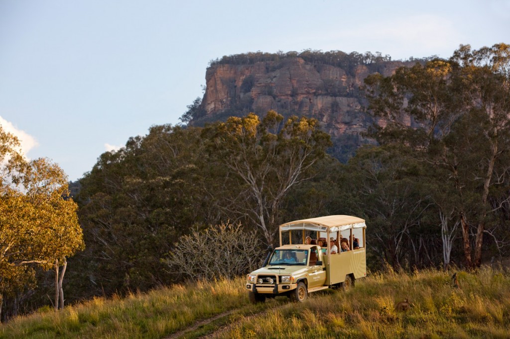 Safari | Photo Credit: Wolgan Valley Resort & Spa Safari | Photo Credit: Wolgan Valley Resort & Spa