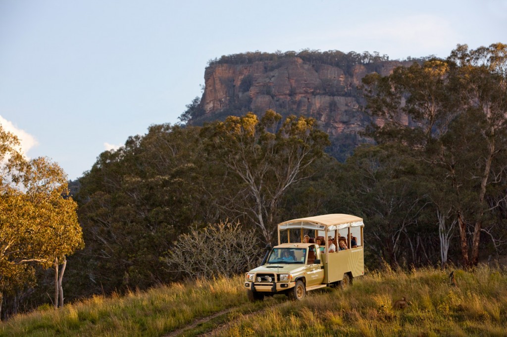 Safari | Photo Credit: Wolgan Valley Resort & Spa