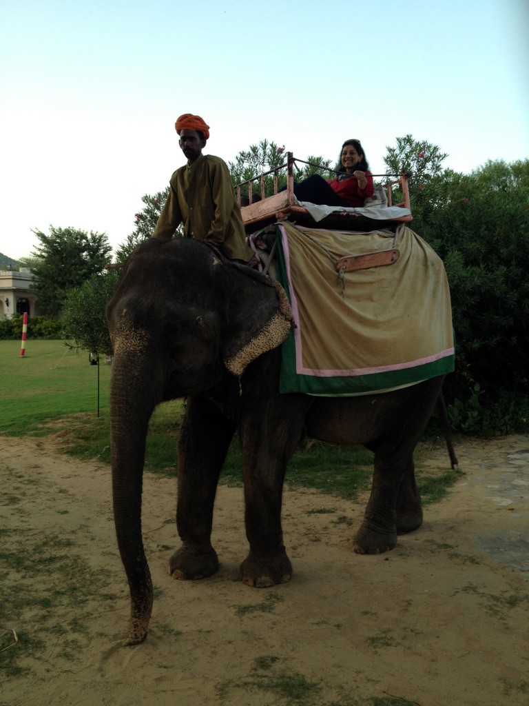 Elephant Safari In Jaipur