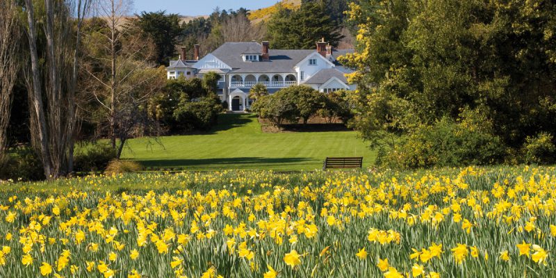 Photo: Otahuna Lodge overlooking the daffodil garden | Image Credit: Otahuna Lodge