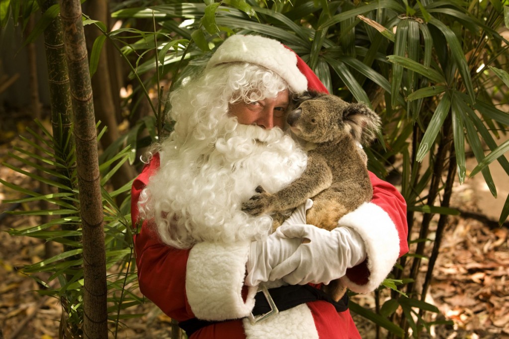 Santa with a Koala | Photo Credit: Tourism and Events Queensland