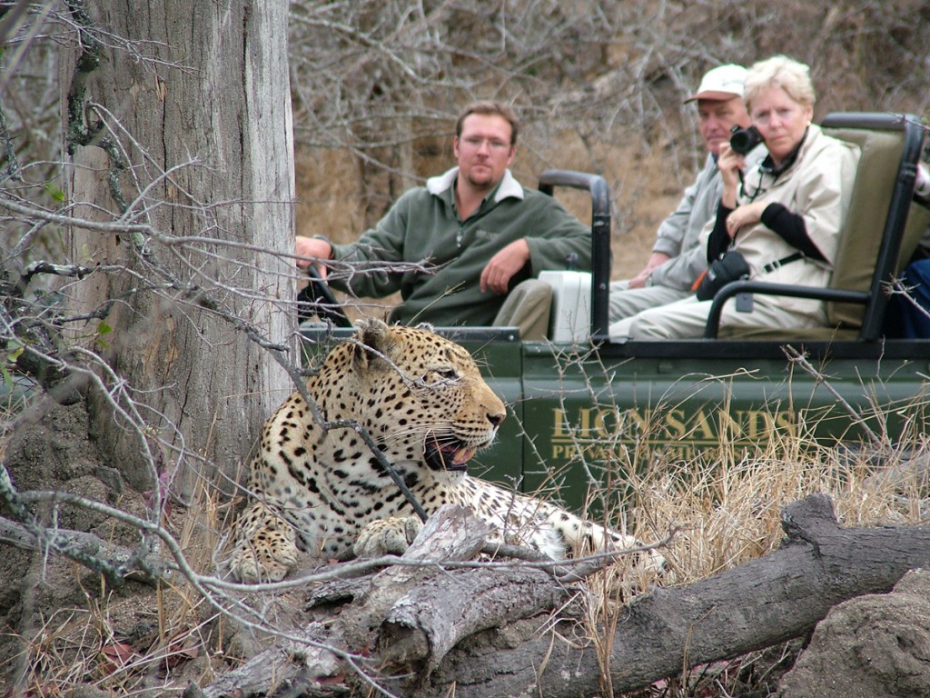 Game Drive | Photo Credit: Lion Sands Game Drive | Photo Credit: Lion Sands