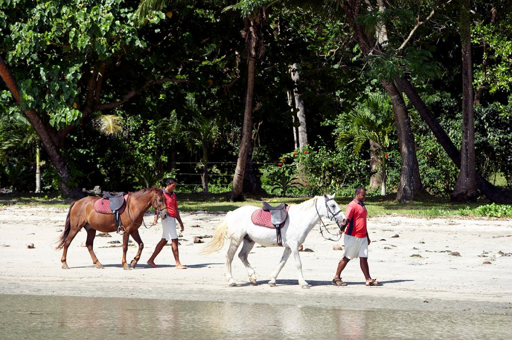 Horseback Riding | Photo Credit: Namale Horseback Riding | Photo Credit: Namale