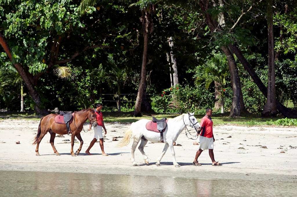 Horseback Riding | Photo Credit: Namale