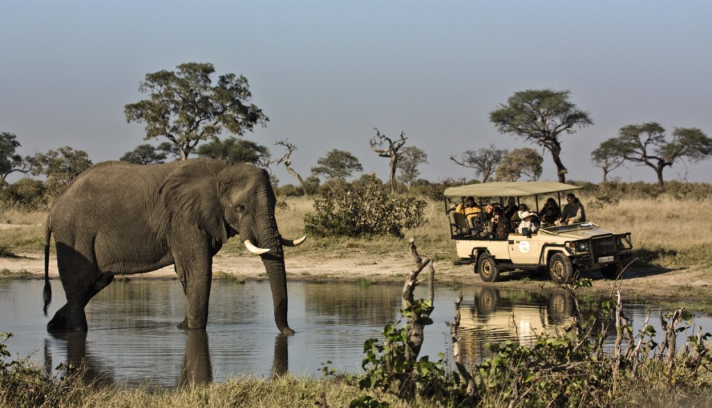 Game Drive | Photo Credit: Savute Elephant Camp