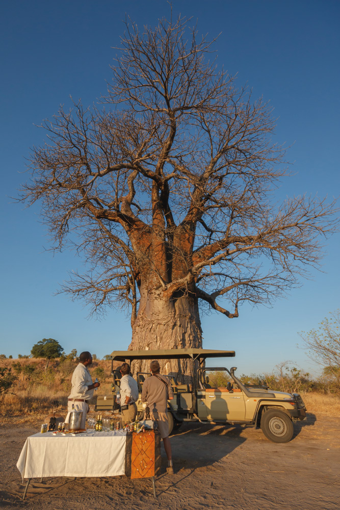 Dining in the bush | Photo Credit: Savute Elephant Camp