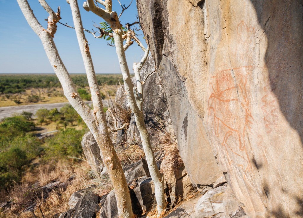 Exterior | Photo Credit: Savute Elephant Camp