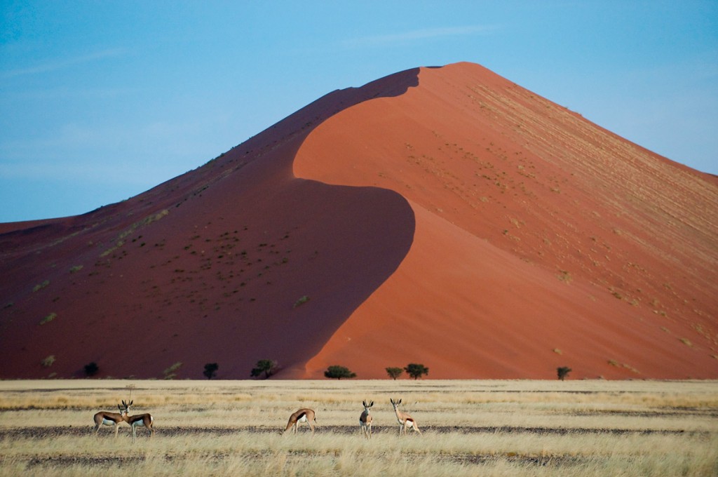 The Formidable "Big Daddy" Dune in Sossusvlei | Photo Credit: Wilderness Safaris The Formidable "Big Daddy" Dune in Sossusvlei | Photo Credit: Wilderness Safaris