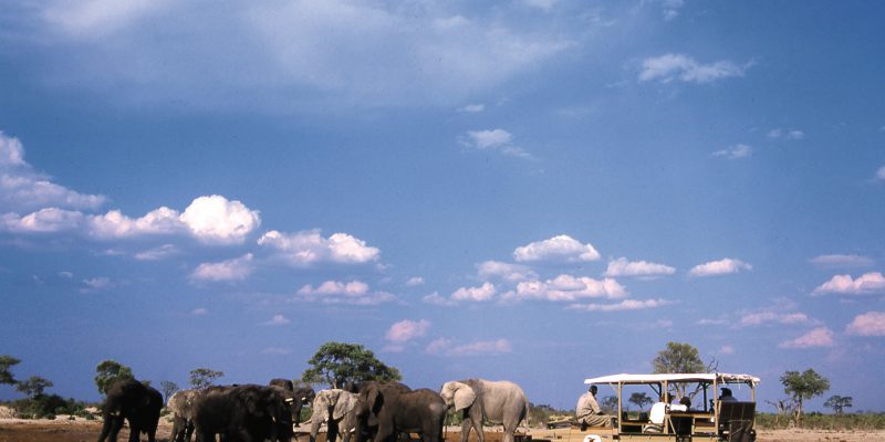 Savute Elephant Camp