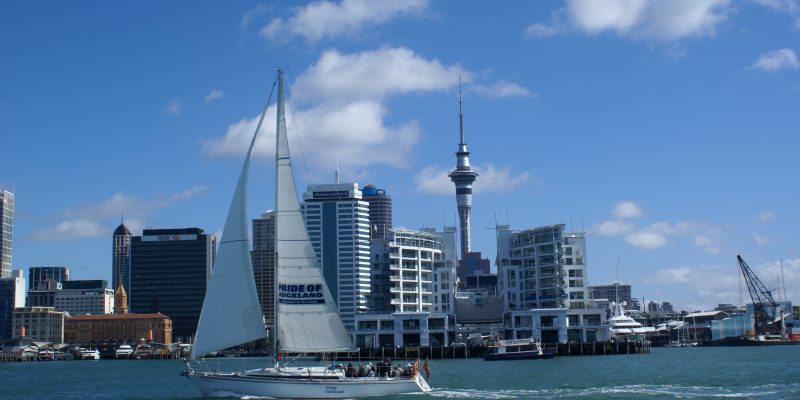 Auckland Skyline