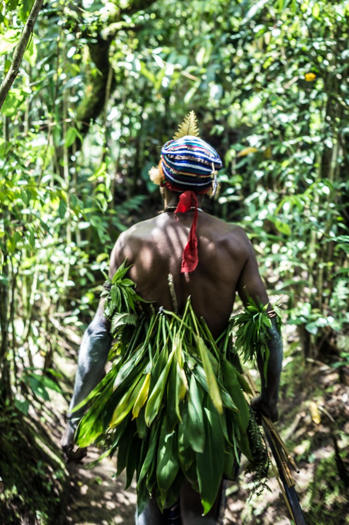 Into the Jungle Photo Credit: Swain Destinations